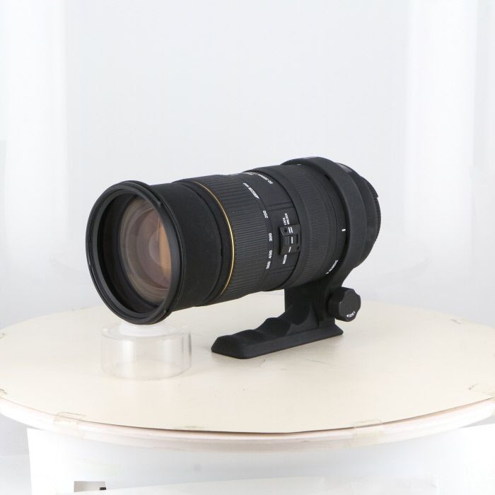 シグマ SIGMA AF APO50-500|4-6.3 EX DG ニコンFマウント用