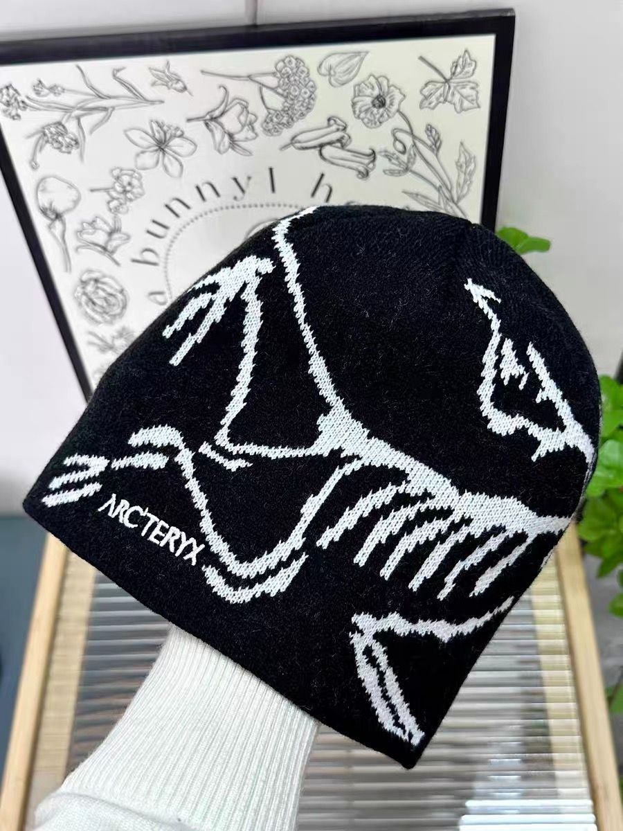 Arc'teryx Bird Head Toque アークテリクス ビーニー 　ニット帽子　ブラック