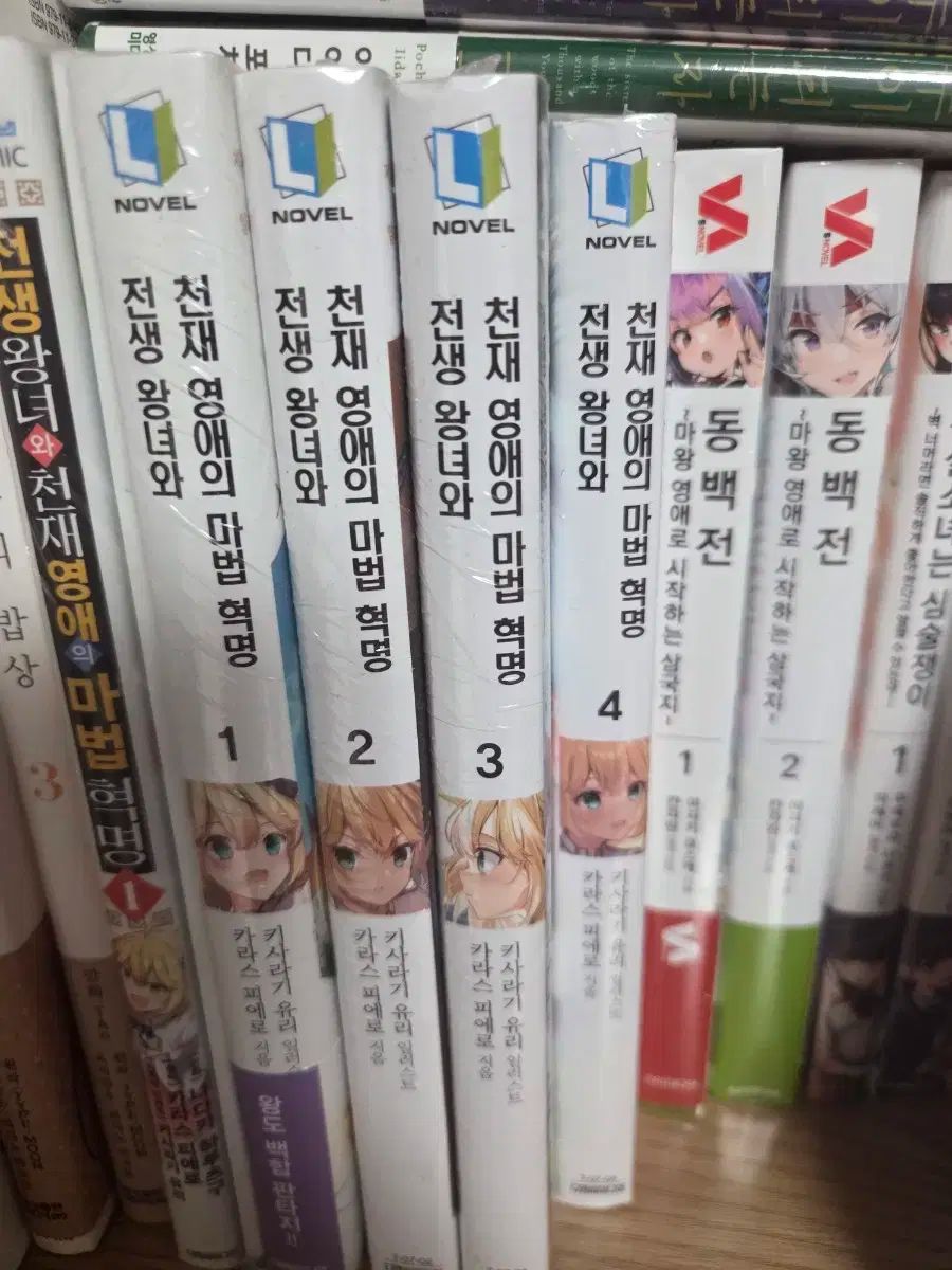 新品ケース DVD 「 白線流し 」 全4巻 酒井美紀 長瀬智也 京野ことみ