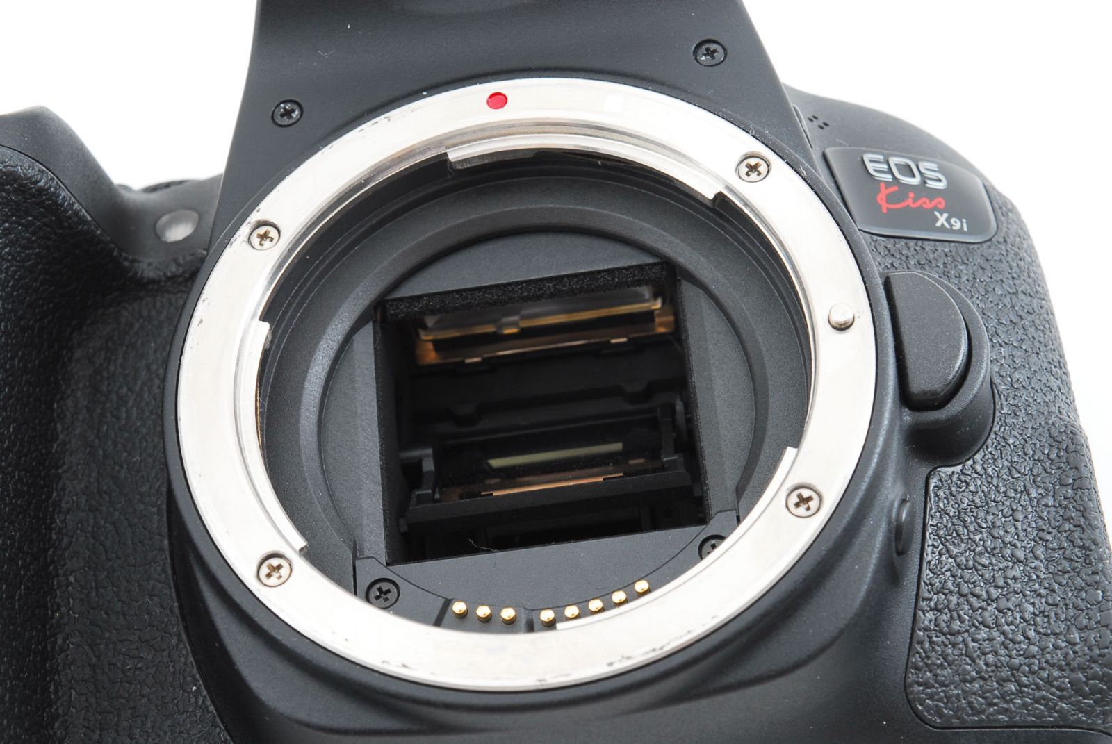 ✾美品✾ キャノン Canon EOS Kiss X9i カメラボディ 望遠レンズ 標準