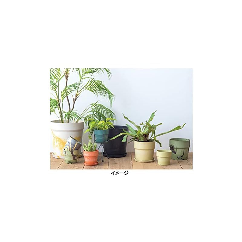 ポッシュリビング アーバンプランツポット ソリッド ケール Φ13.5×H12.5cm 1