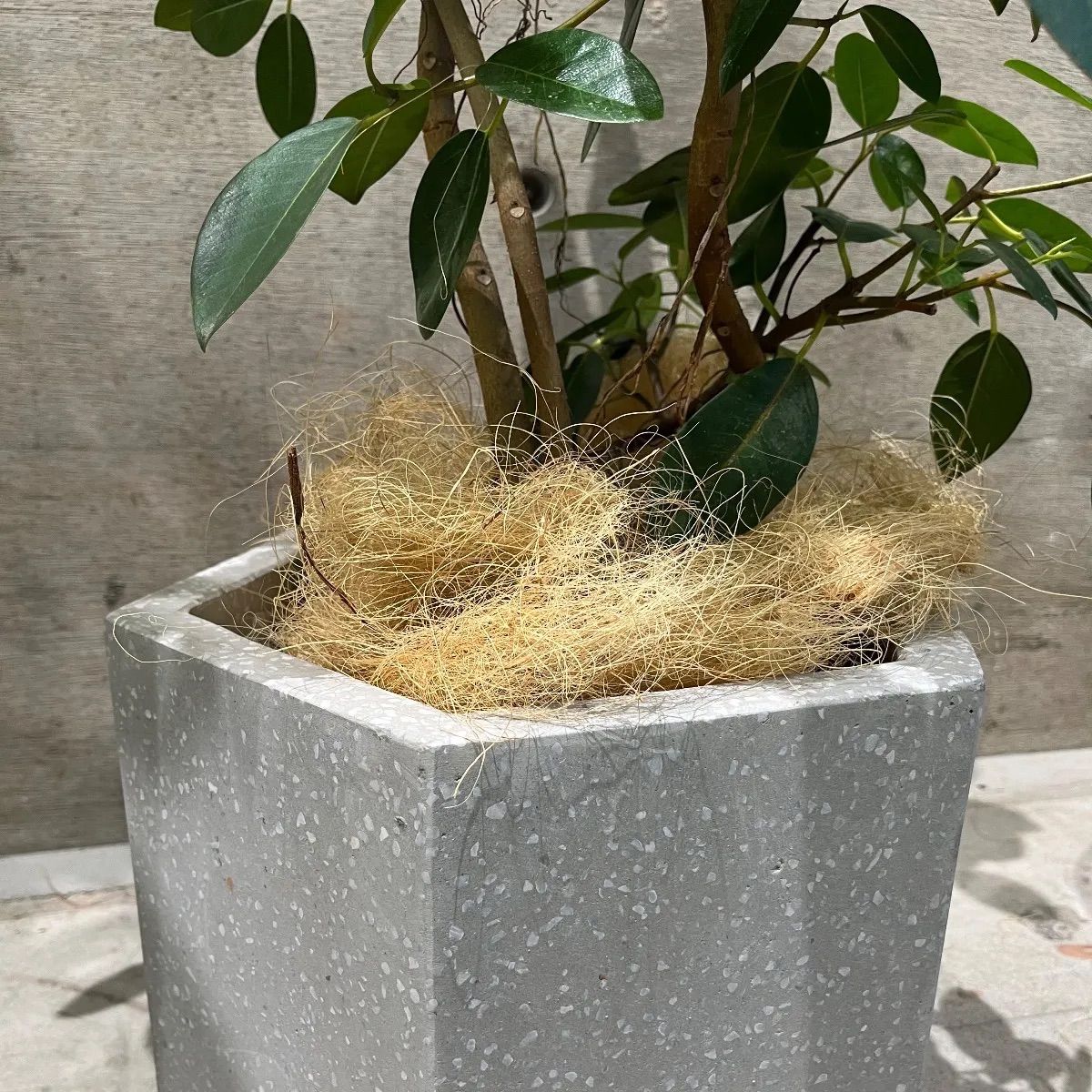 新品/送料無料】コーテス ヘックス S30/A yamatei KONTON 鉢カバー 