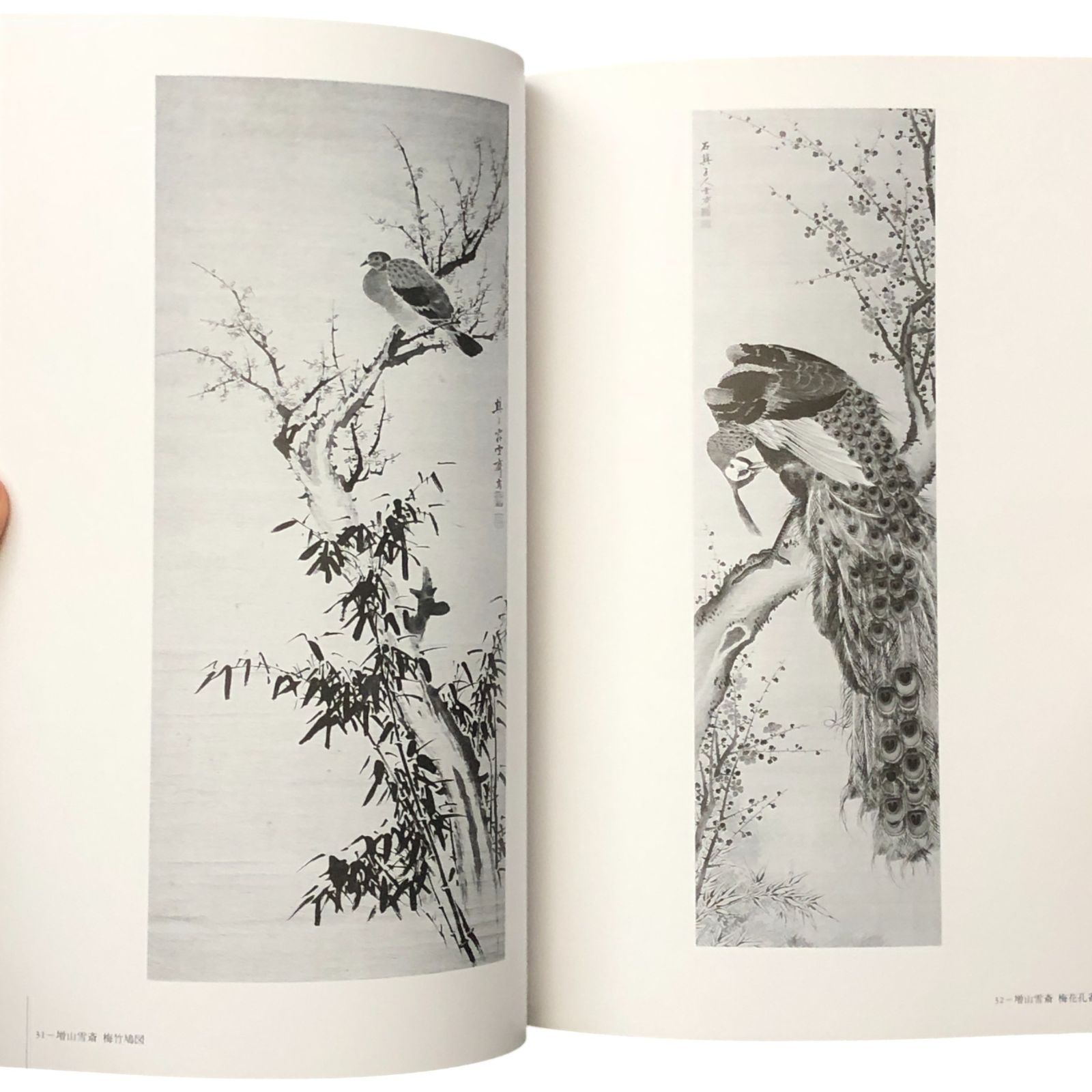 江戸の風流才子・増山雪斎展図録 三重県立美術館 三重県立美術館 1993