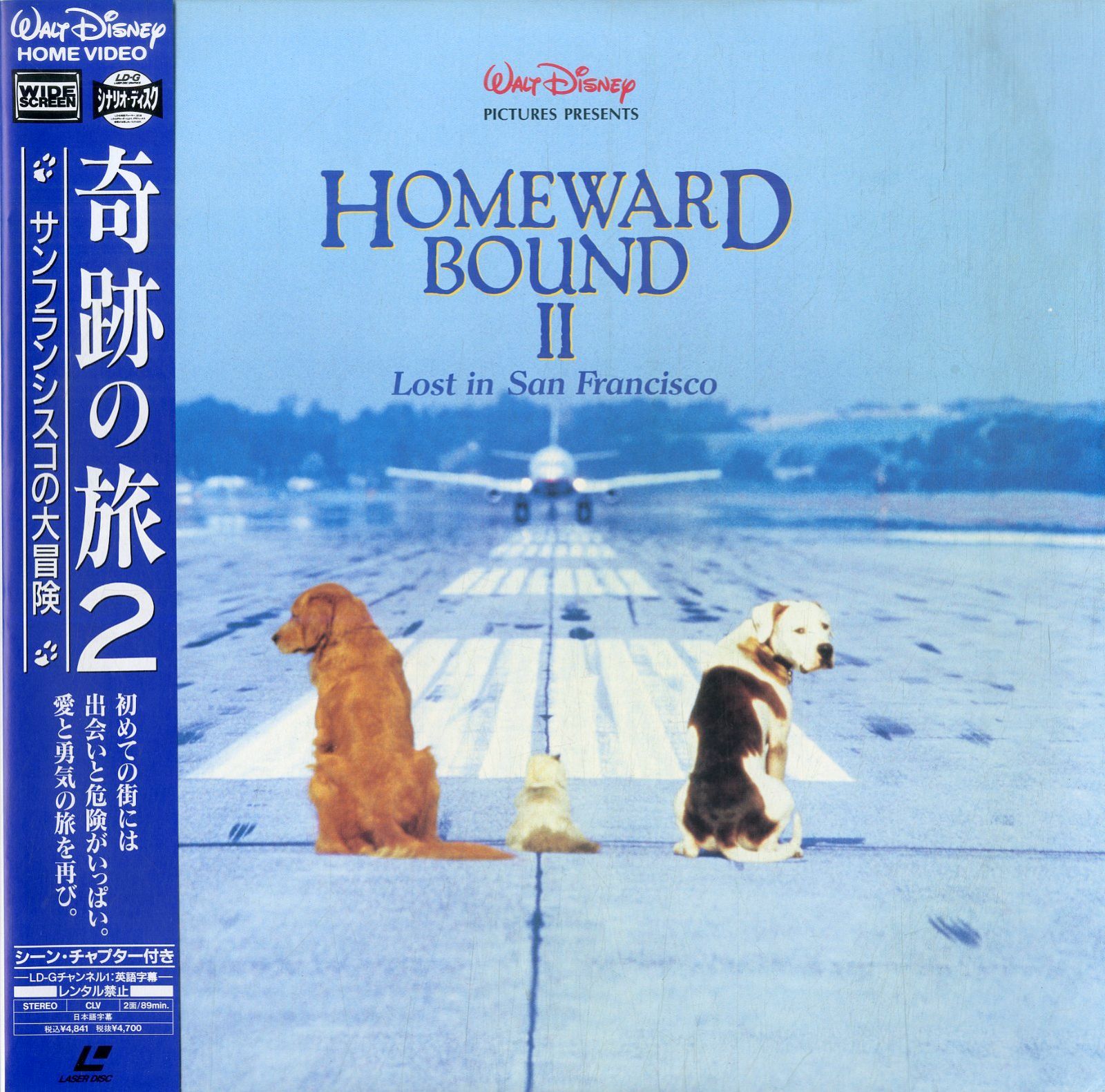 LD1枚 / デヴィッド・R・エリス(監督) / マイケル・J・フォックス / 奇跡の旅2 サンフランシスコの大冒険 Homeward Bound  II: Lost In San Francisco 1996 (1997年・PILF-2335・劇場未公開)