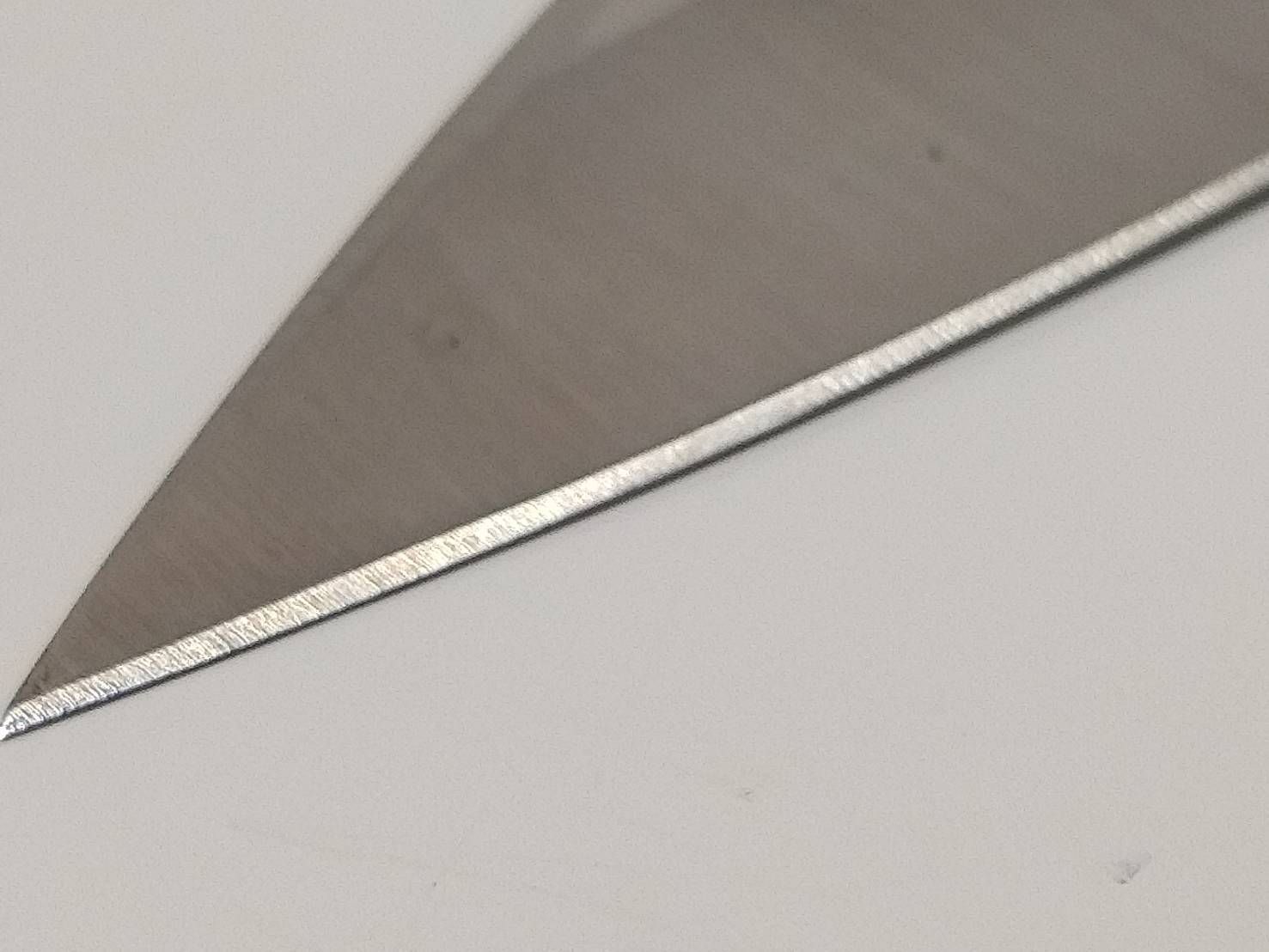 魚