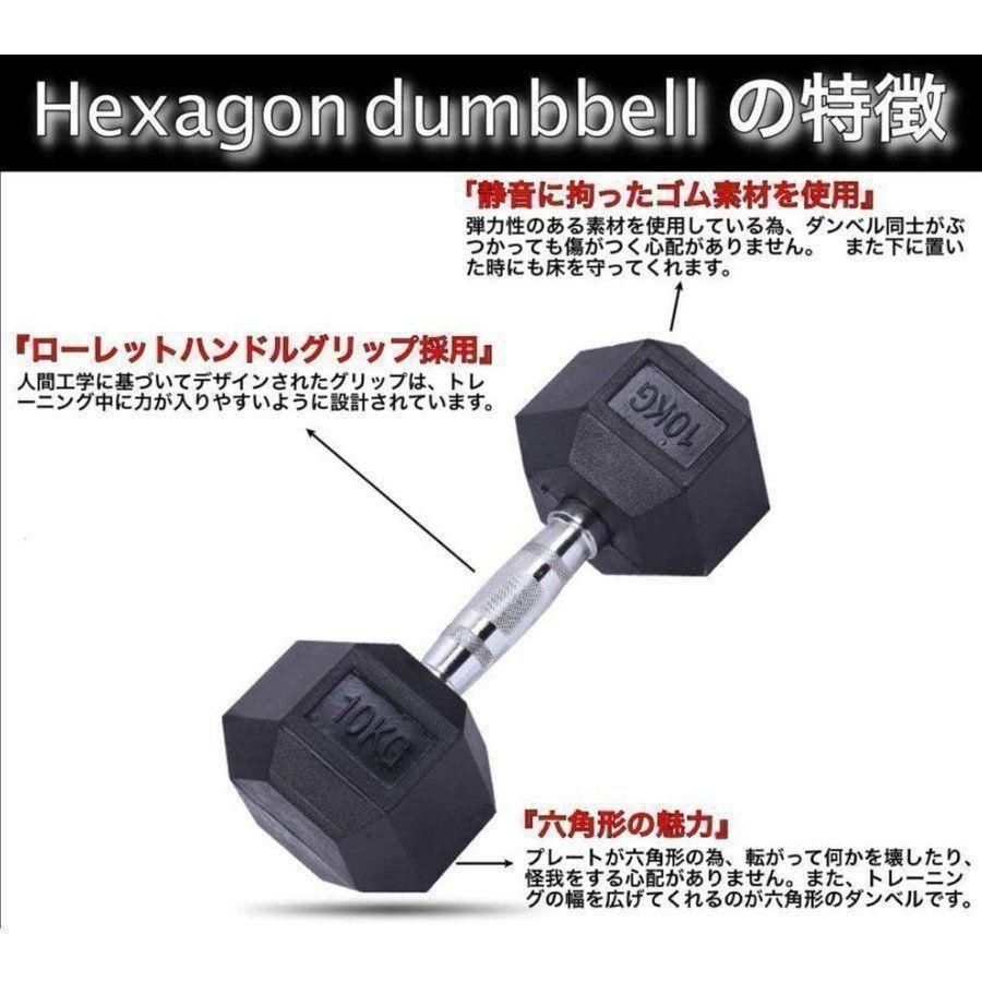 ダンベル10kg 2個セット 六角 筋力トレーニング 鉄アレイ621