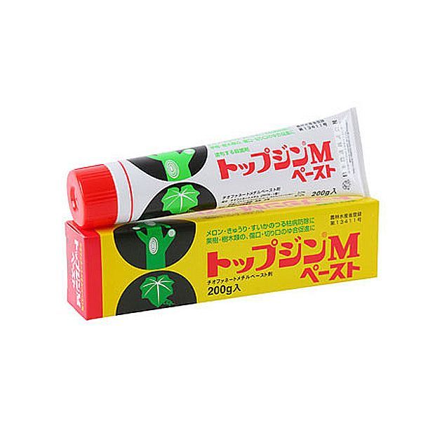 10個セット トップジンMペースト 200g 殺菌塗布剤 傷口 剪定 整枝 切り口 日やけ 凍害 つる直し