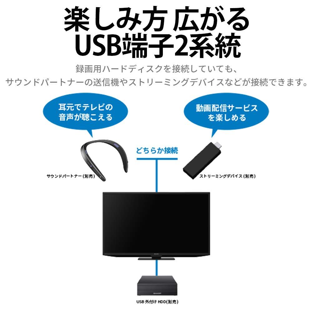 ハイビジョン 外付けHDD裏番組録画対応