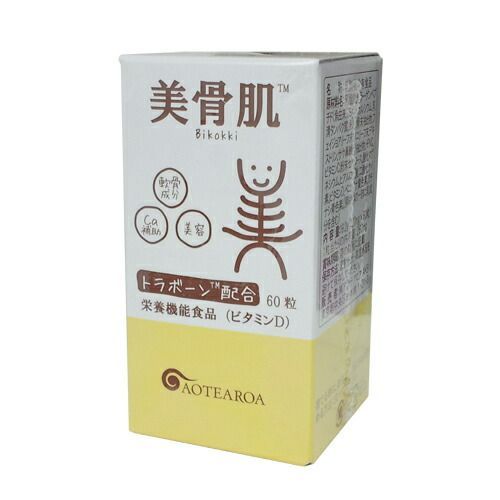 油彩画 「 伊根の舟屋 」 原画 額付