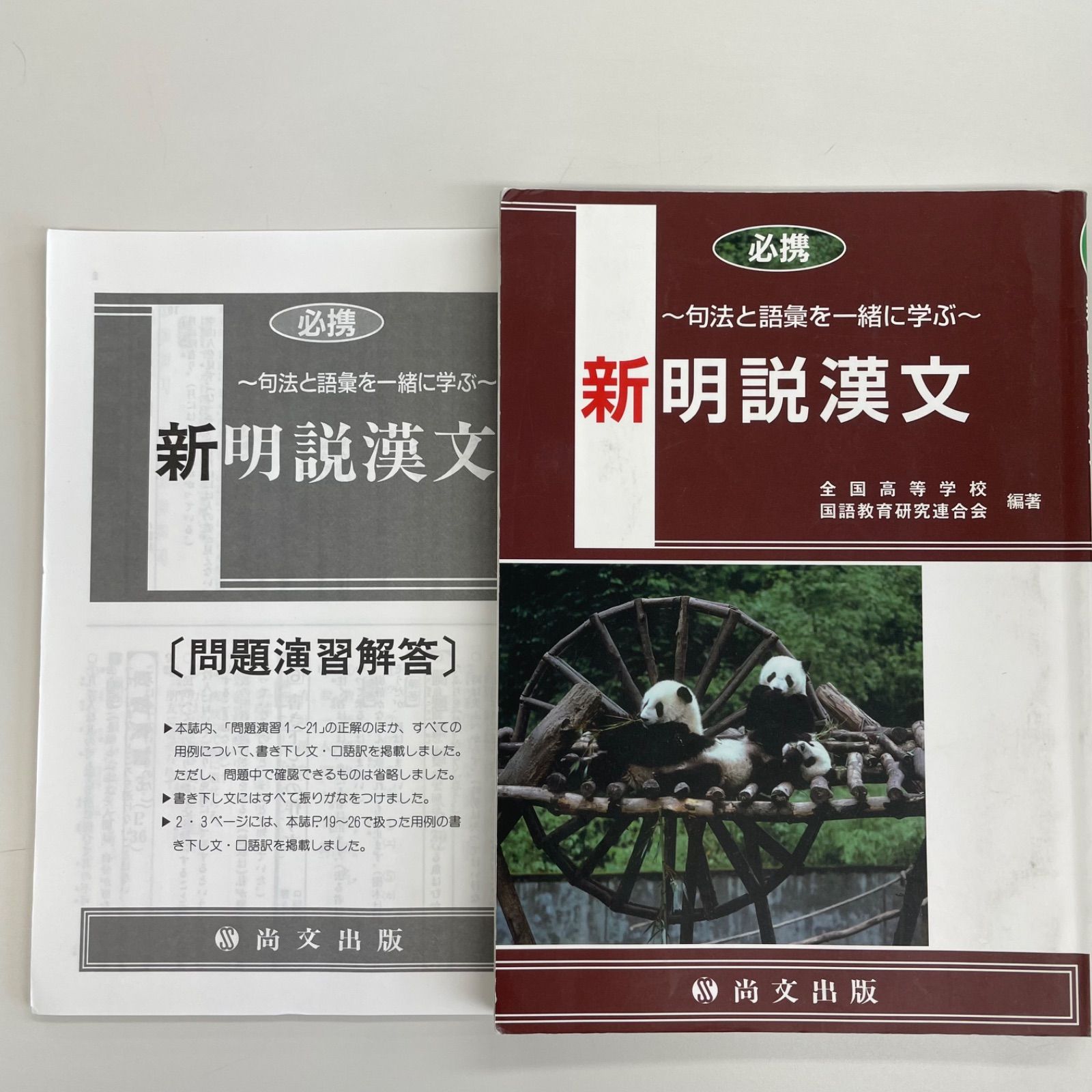 句法と語彙を一緒に学ぶ 暖かい 新明説漢文 必携