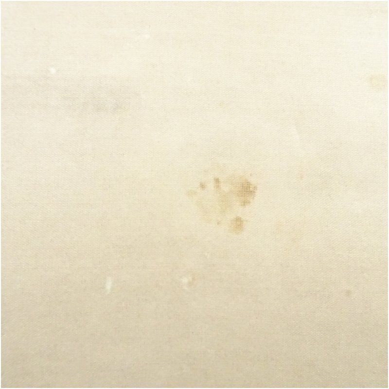 真言宗 網代智等筆 「弄花香満衣」一行書 肉筆紙本掛軸（共箱） 掛け軸