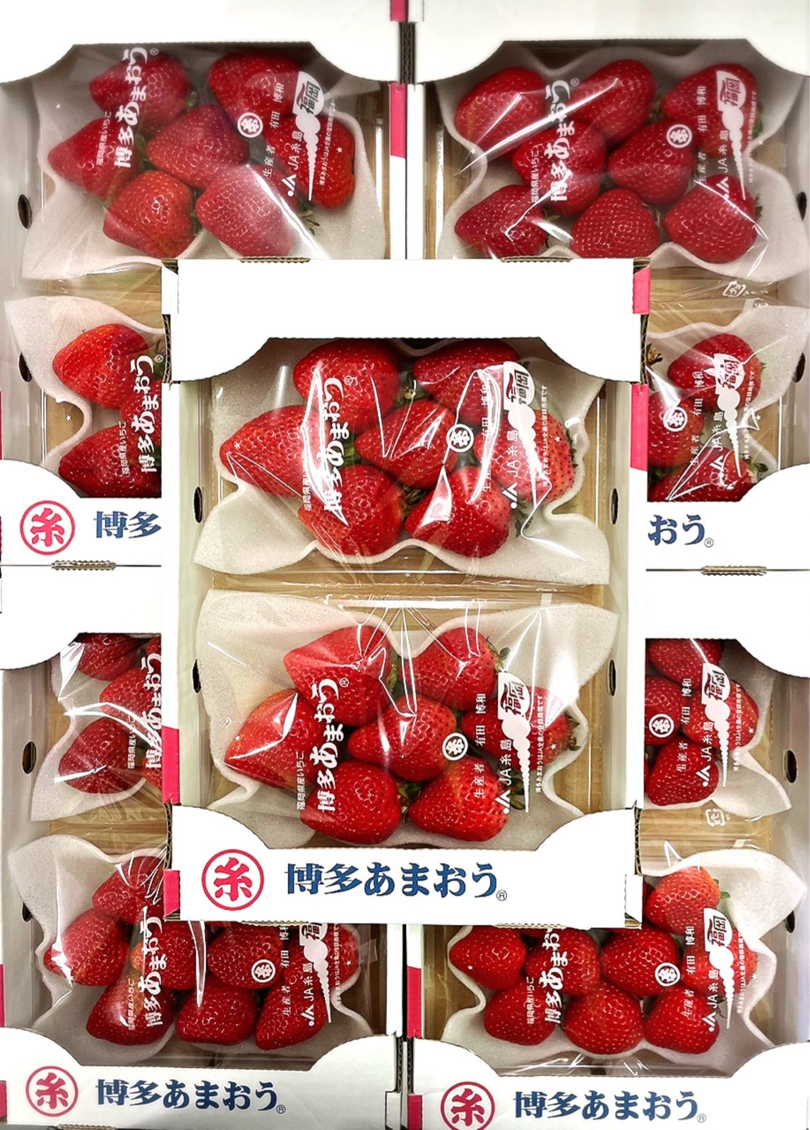 高級苺！！福岡県産【あまおう】グランデ5Lサイズ 10パック(5箱) 高級苺！！福岡県産【あまおう】グランデ5Lサイズ 10パック(5箱)