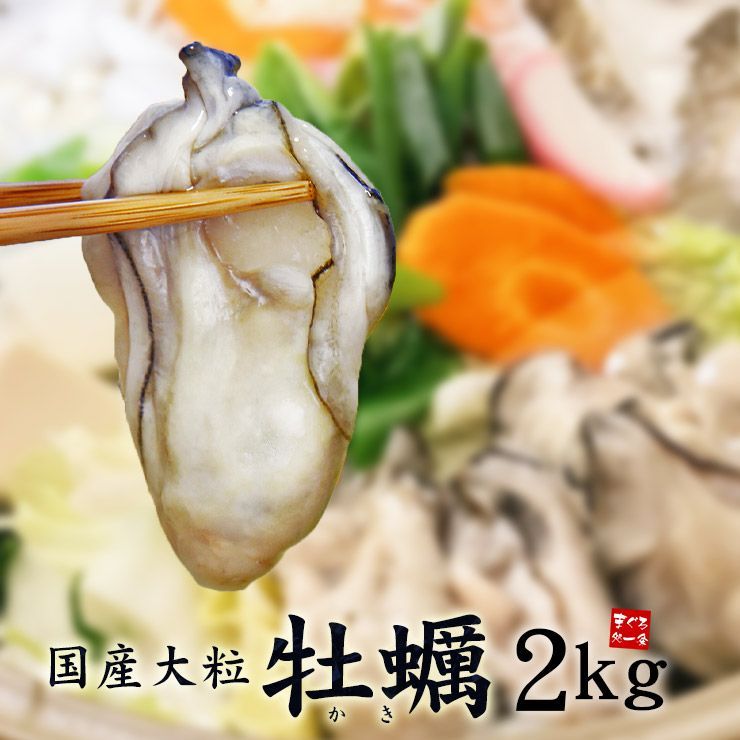 広島産カキ2kg（NET1700g）肉厚ぷりっぷり迫力の2Lサイズ！加熱用 《ref-kk1》yd5[[牡蠣1kg-2p]