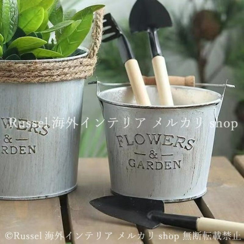 貴重！オオハナジログエイン 頭骨 貴重！オオハナジログエイン 頭骨