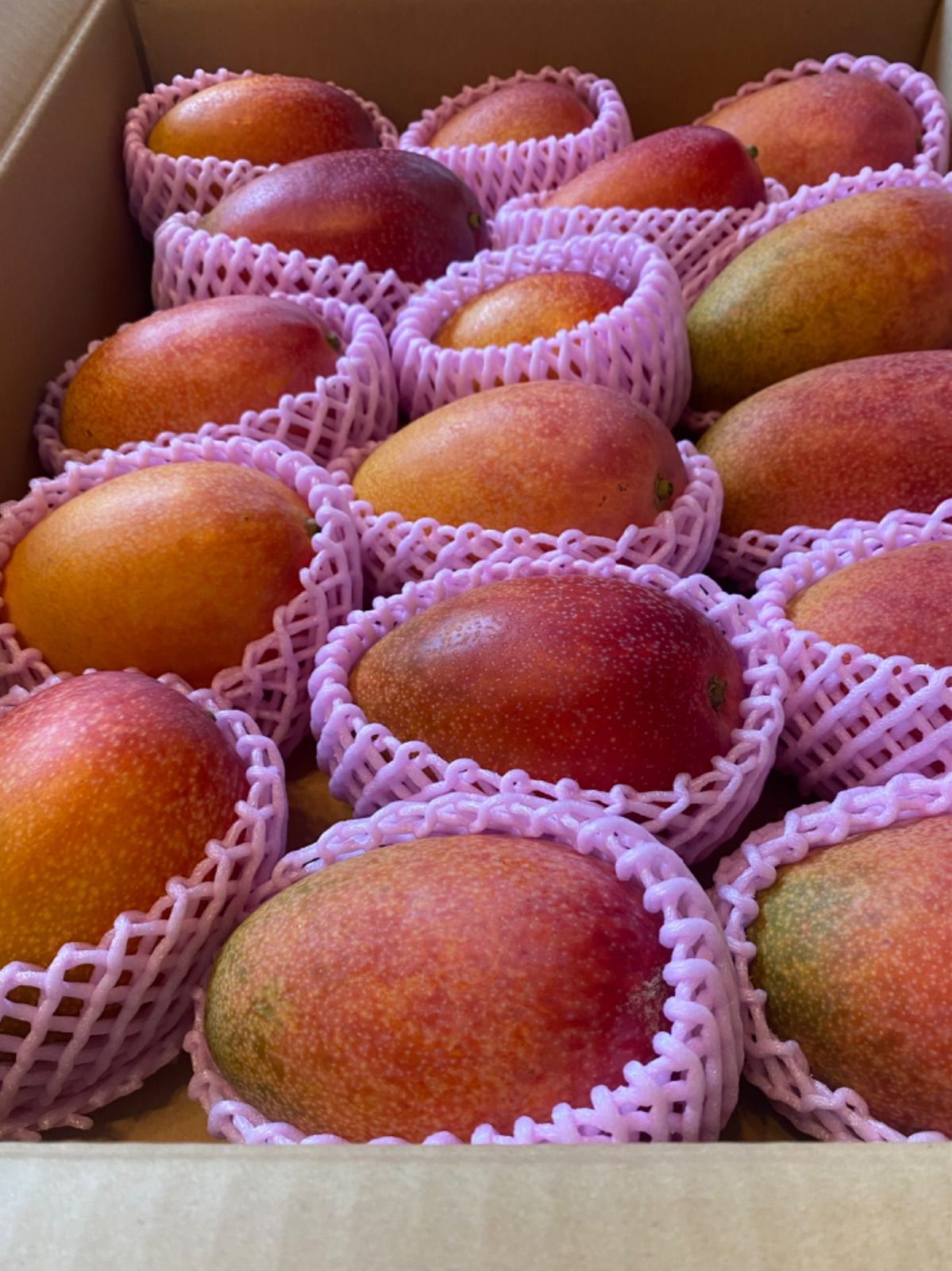 宮崎県産 完熟ミニマンゴー 2kg クール便 宮崎県産 完熟ミニマンゴー 2kg クール便