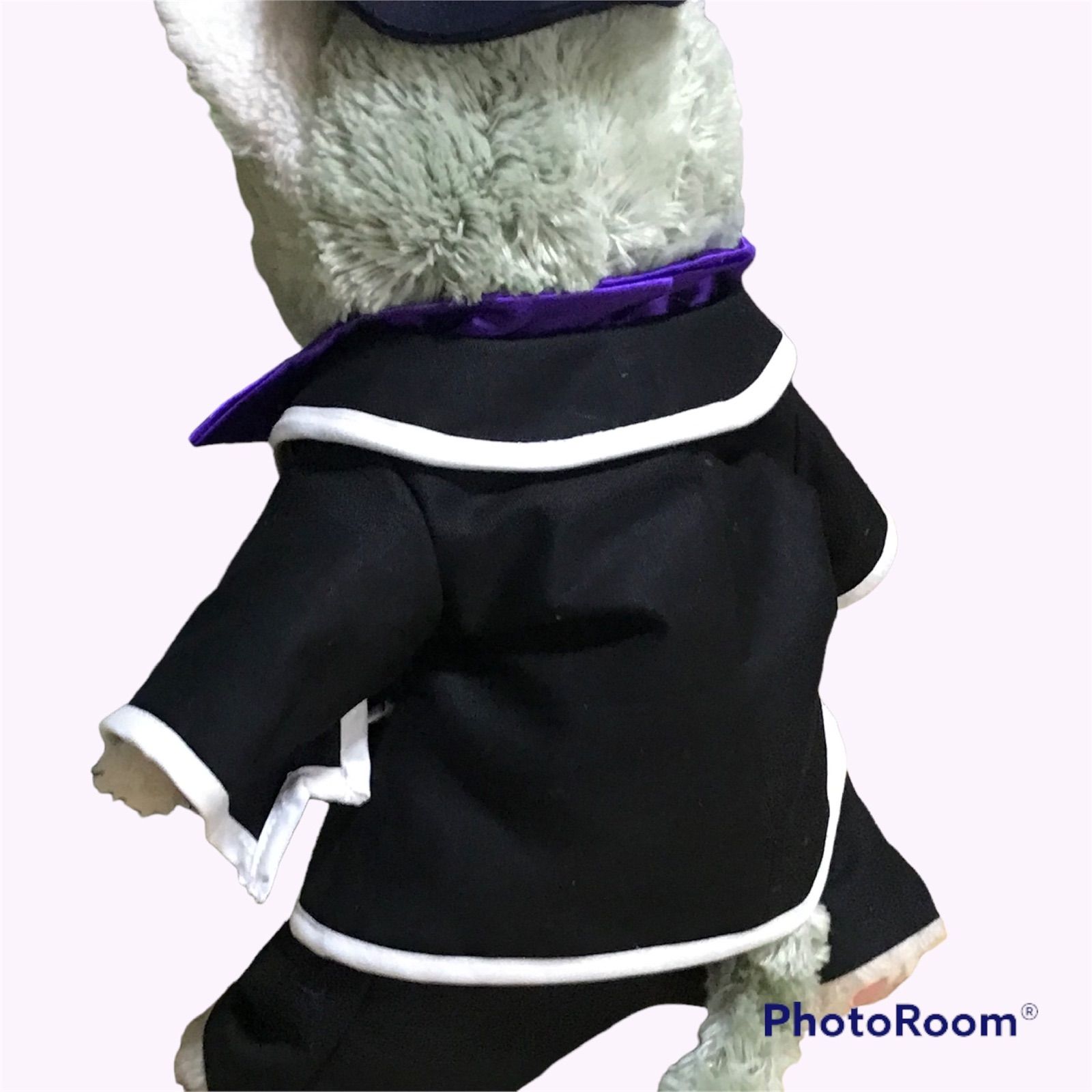 ダッフィー *マルフィ * ヴィランズ手下 コスチューム - メルカリ