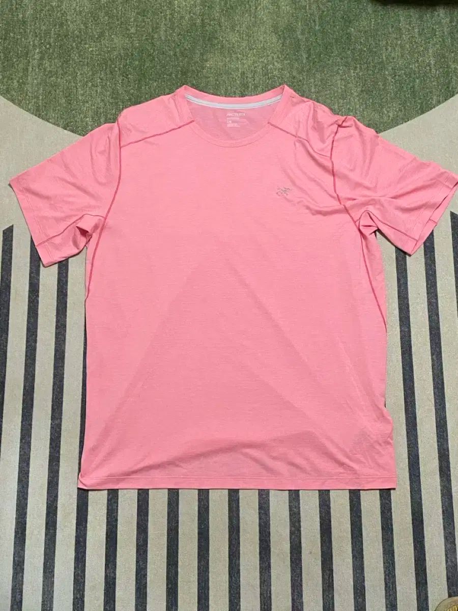 ARC TERYX アークテリクス 鼻腔 乗組員 SS Tシャツ ポリッジ L ピンク