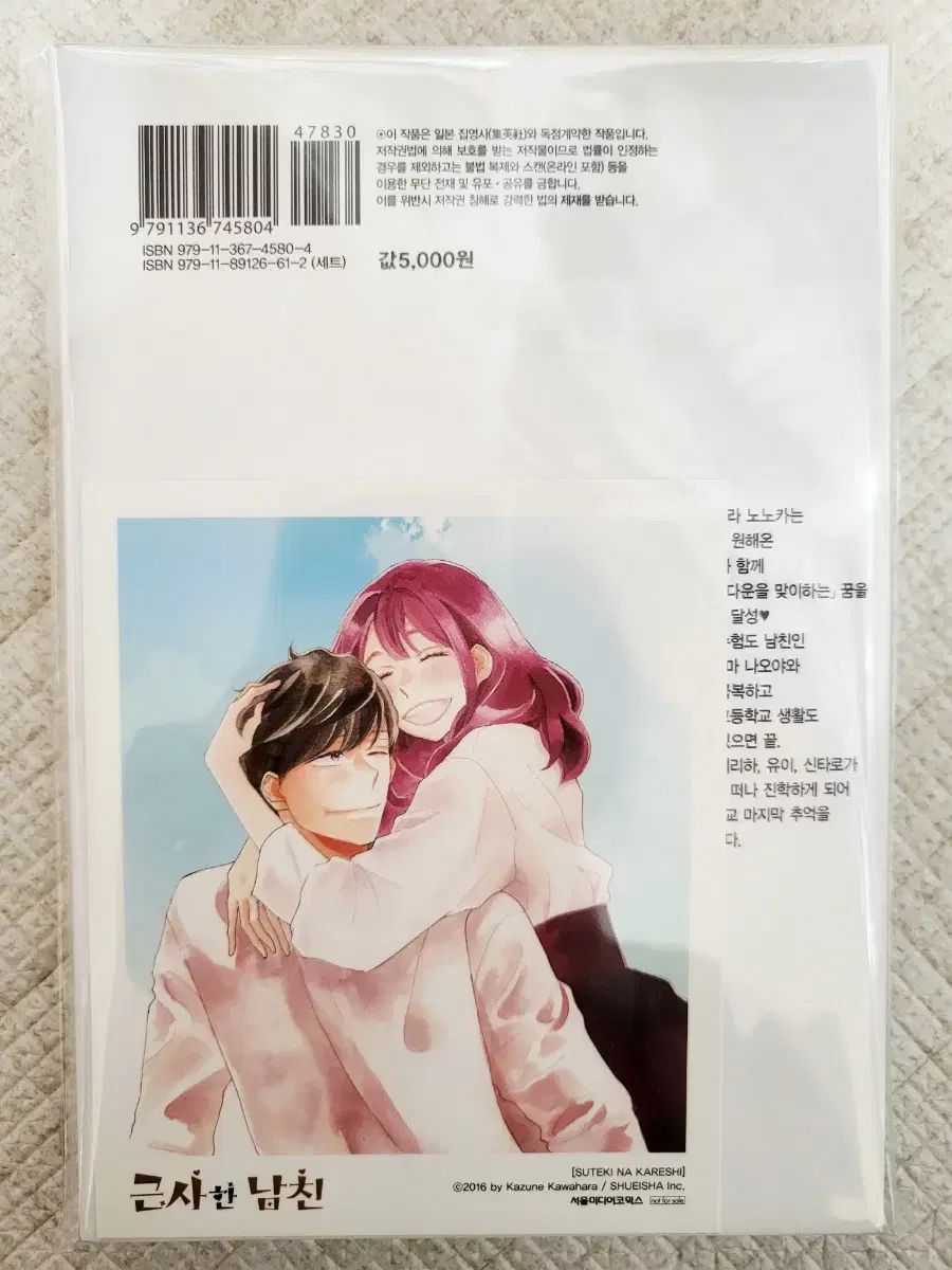 素晴らしい ボーイフレンド