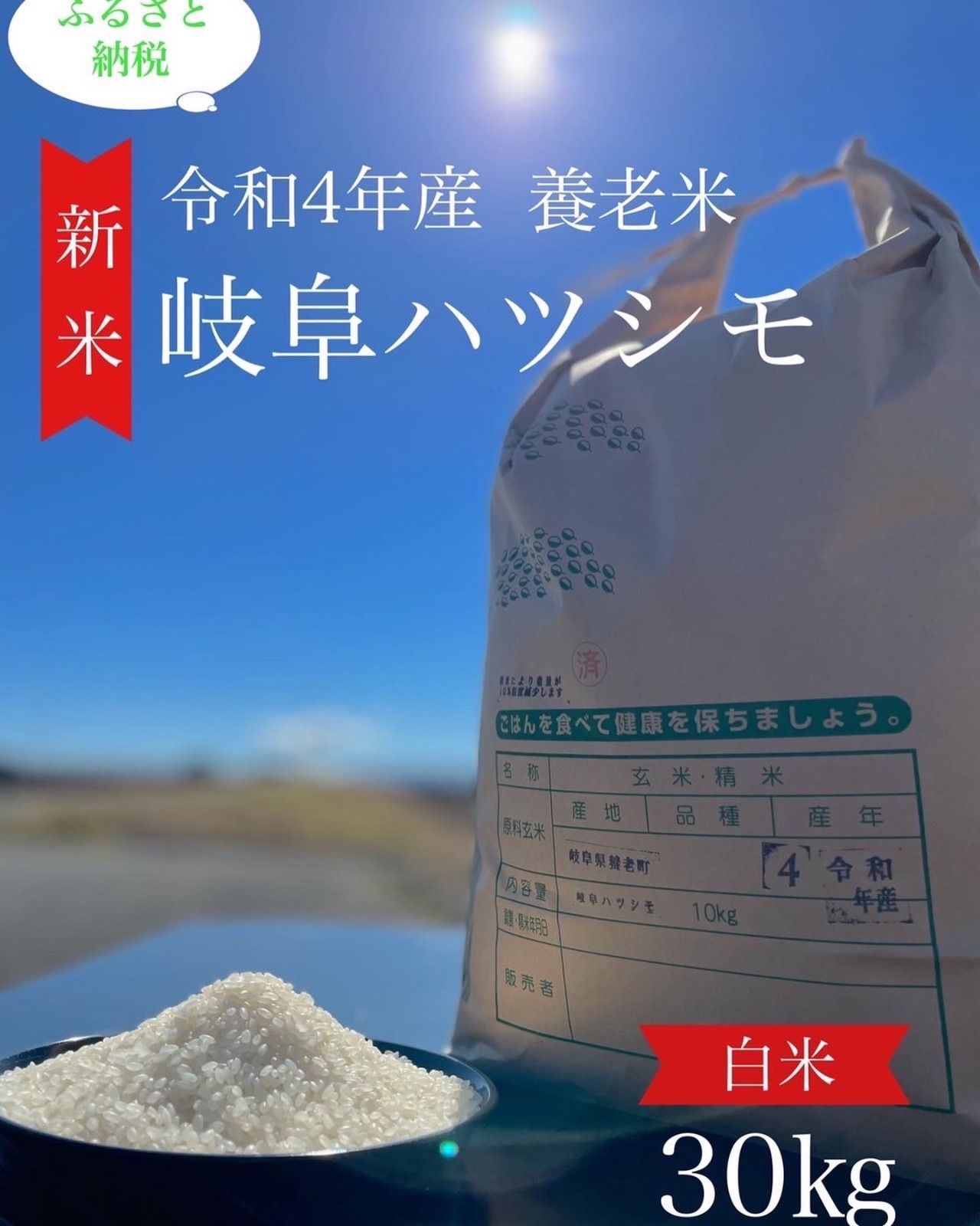 ふるさと納税 令和4年産岐阜ハツシモ 30kg 玄米 岐阜県養老町 - 米