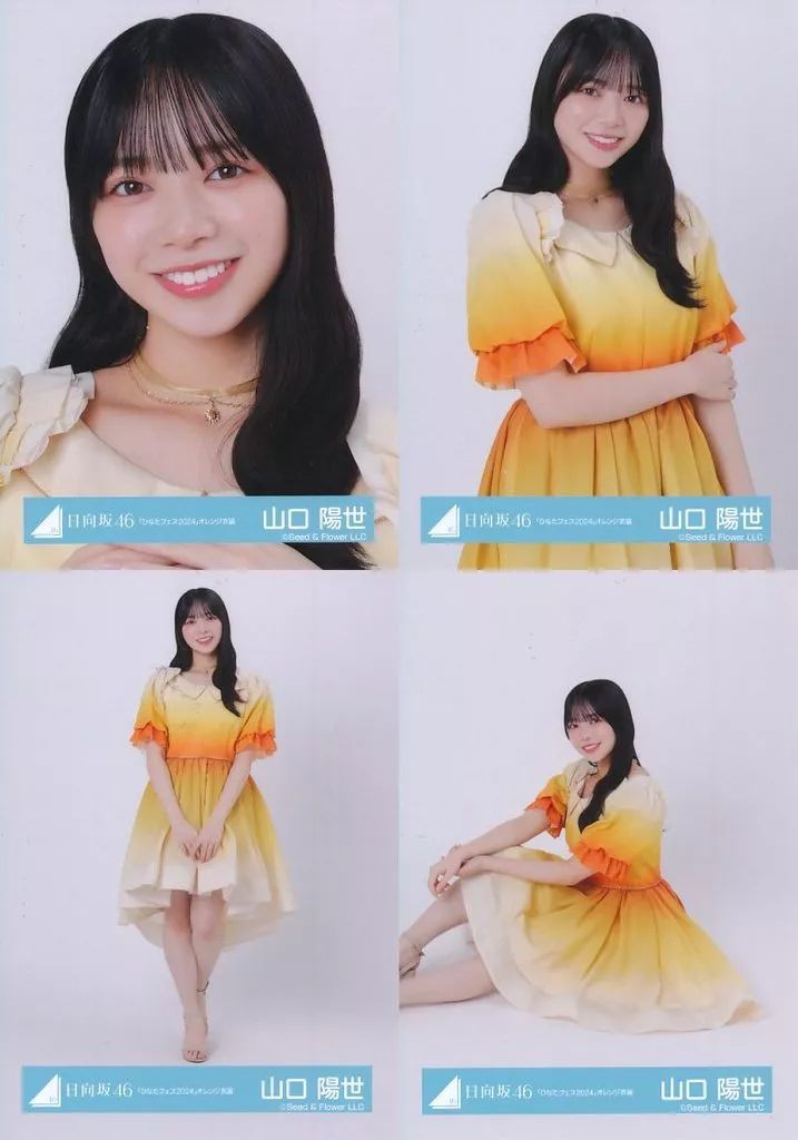 山口陽世　日向坂46 ランダム生写真　20種コンプ　最新 hinatazaka46_art202303_yamaguc