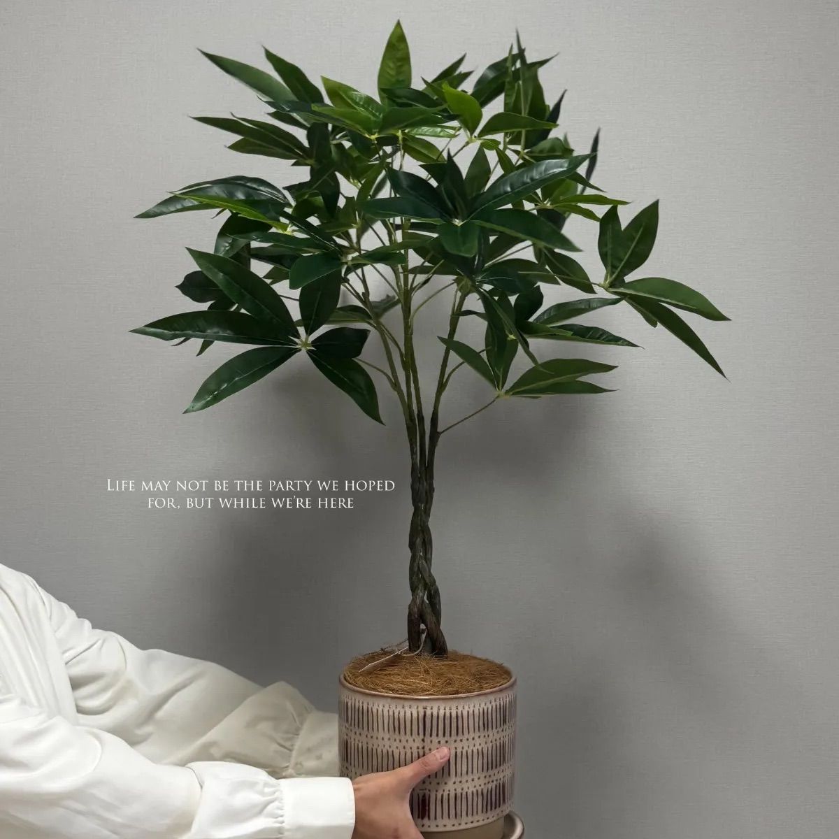 光触媒人工観葉植物「パキラ」高さ150cm 人工植物 フェイクグリーン（196） g162013]【高さ150cm】Nature 光触媒人工観葉植物 パキラ 観葉