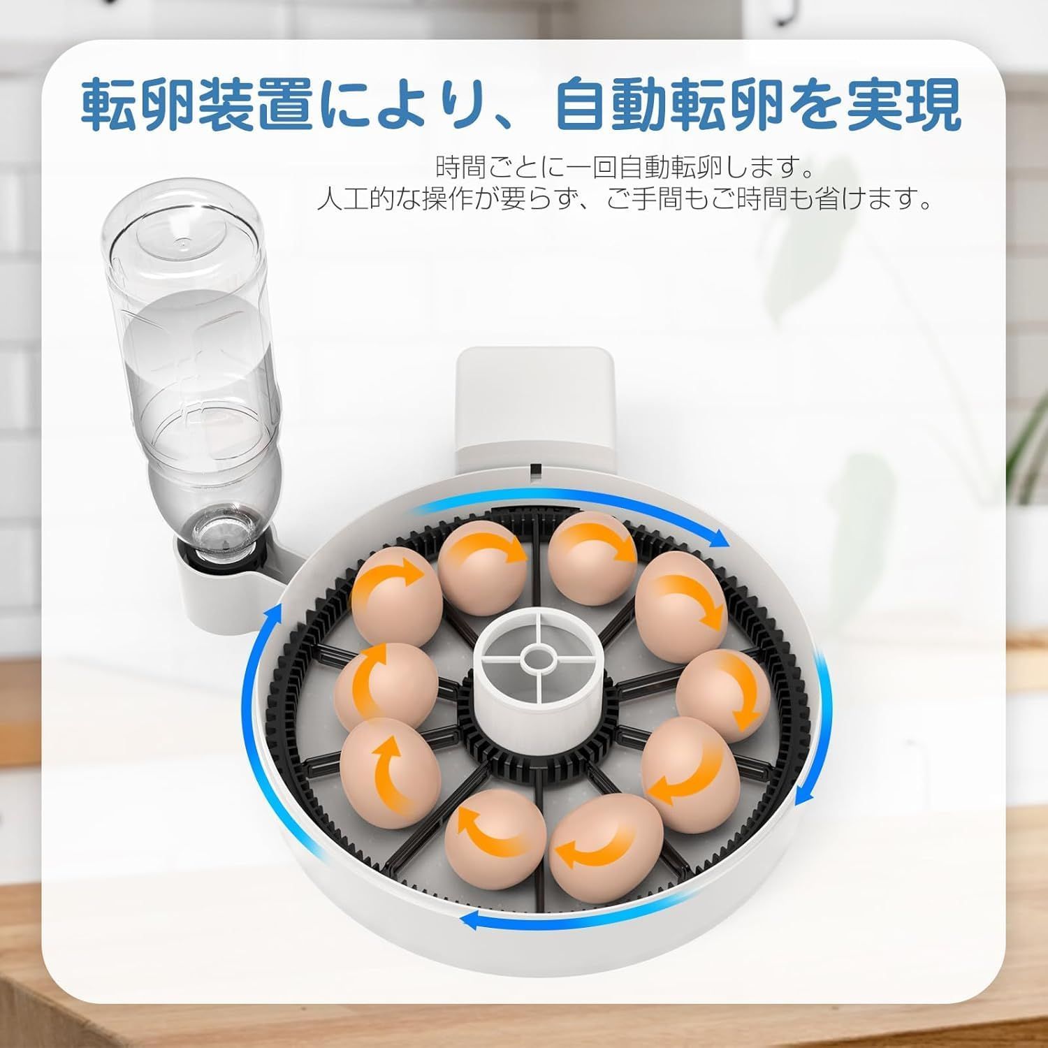 孵化器
