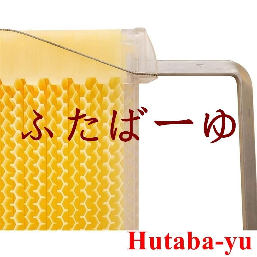 蜂巣 巣脾