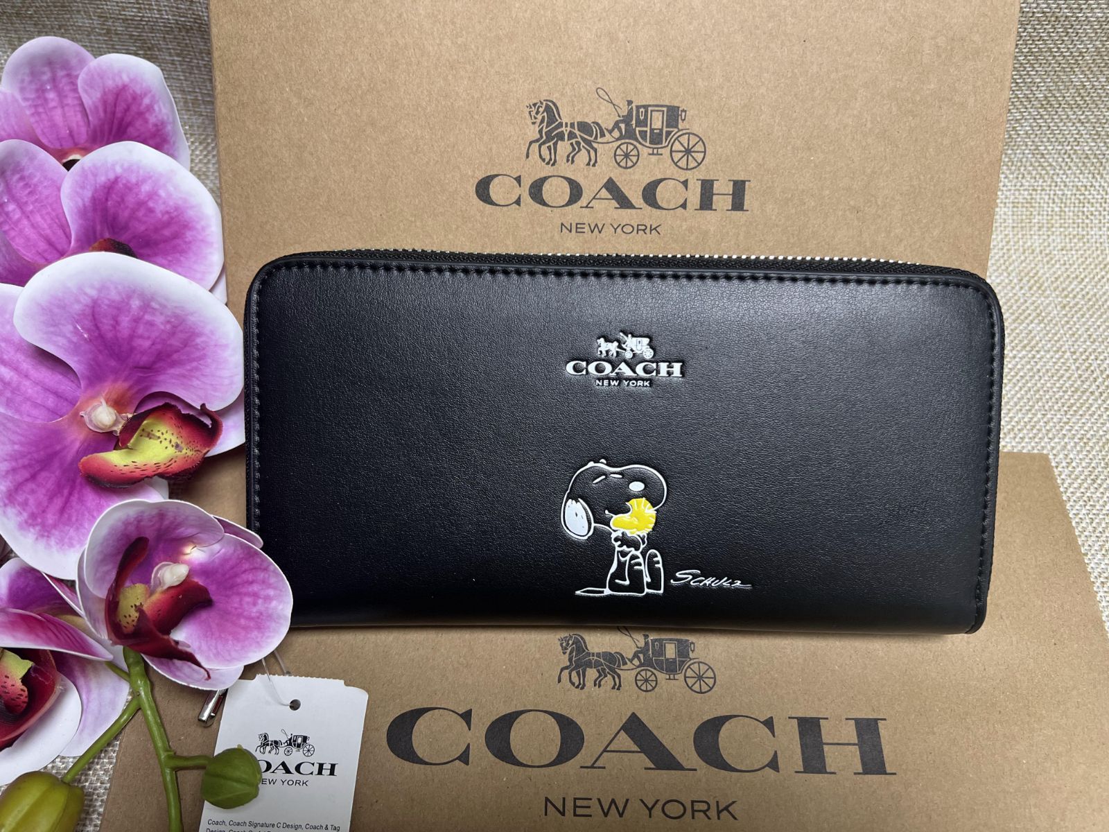 コーチ COACH 長財布 財布 スヌーピー 長財布 COACH PEANUTS コーチ