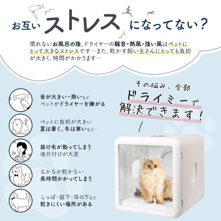 ボックス