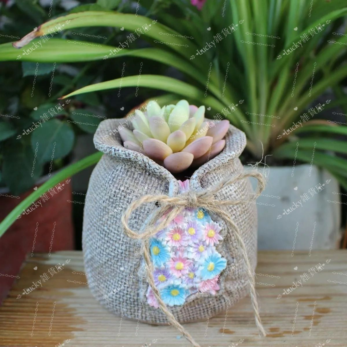 プランター 植木鉢 花 小花 カラフル 小さい 小型 かわいい 多肉