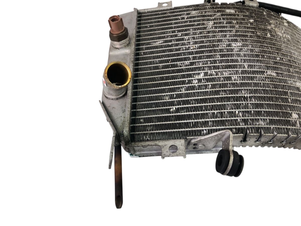 専用 専用② ZX II プロテクター