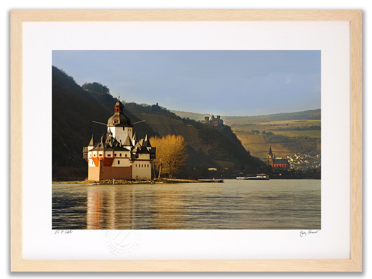 アートフォト 絵画 壁掛け ファルツ グラーフェンシュタイン城 Castle Pfalzgrafenstein |額入り 額装込 絵画 絵 壁掛け アート インテリア プレゼント ギフト Mサイズ