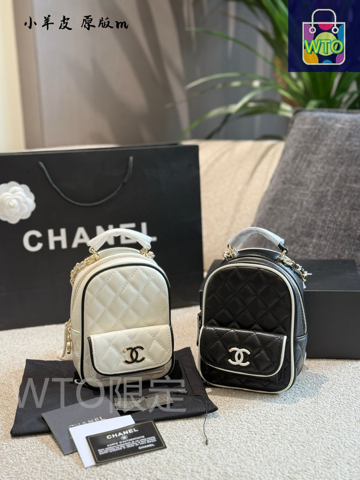 【CHANEL】シンプルなモノトーン！ ☆ ミニ バッグパック ☆ Chanel 24A mini multiway backpack unboxing - YouTube