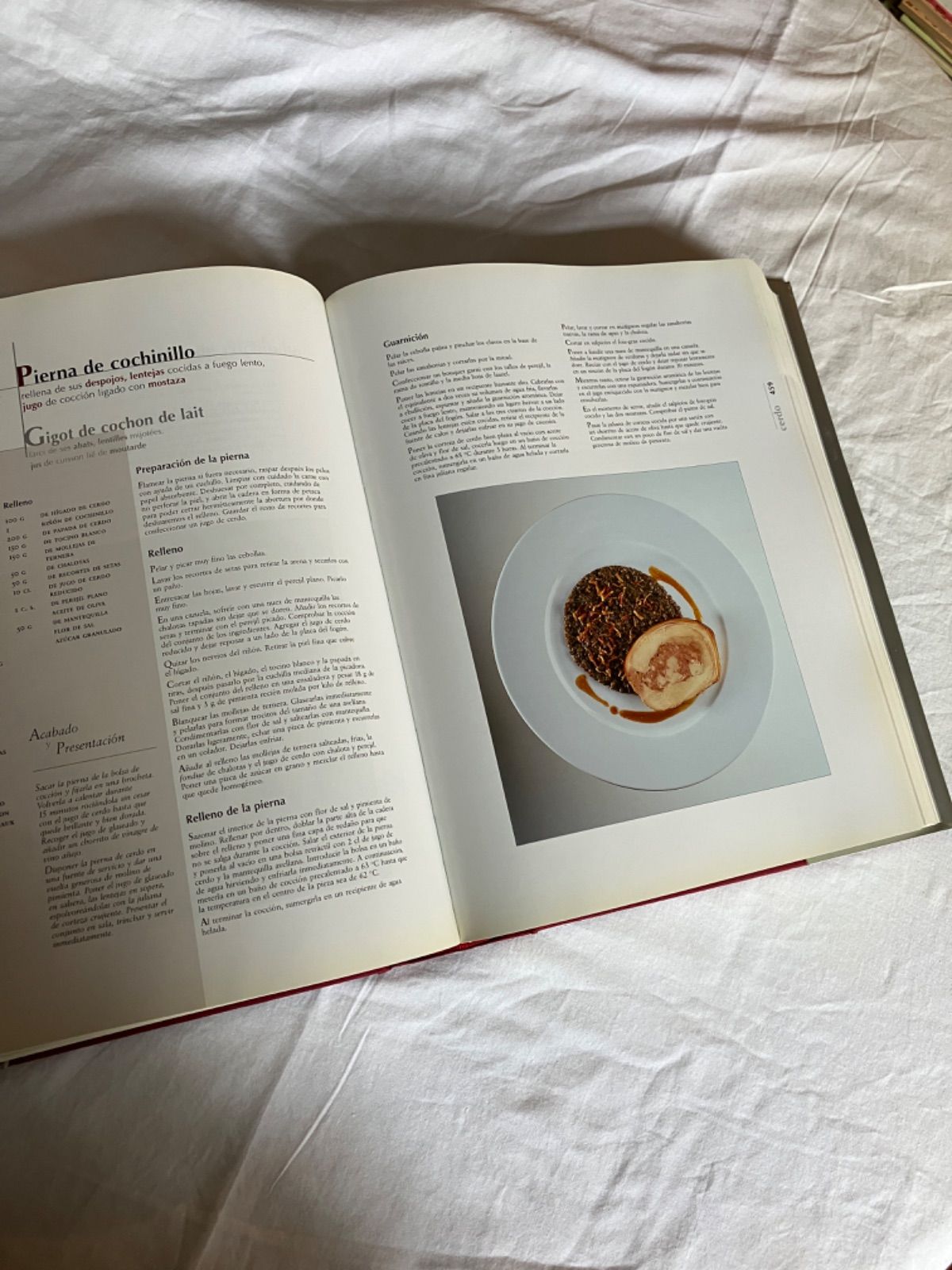 アランデュカス: Grand Livre de Cuisine【洋書】 41VX1R97PEL._AC_UF350,