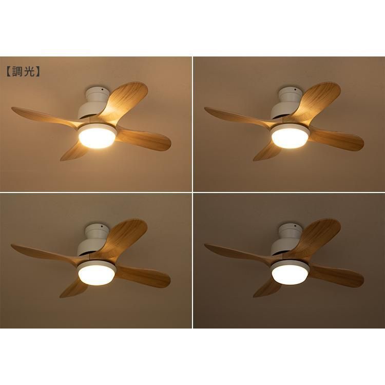 電気