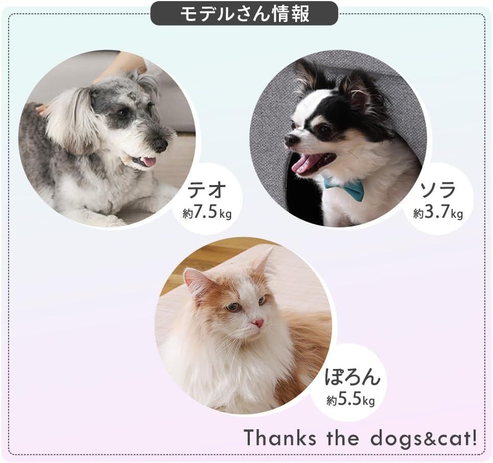 犬