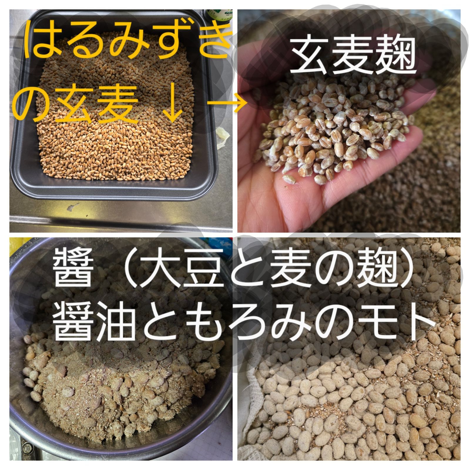 のサムネイル