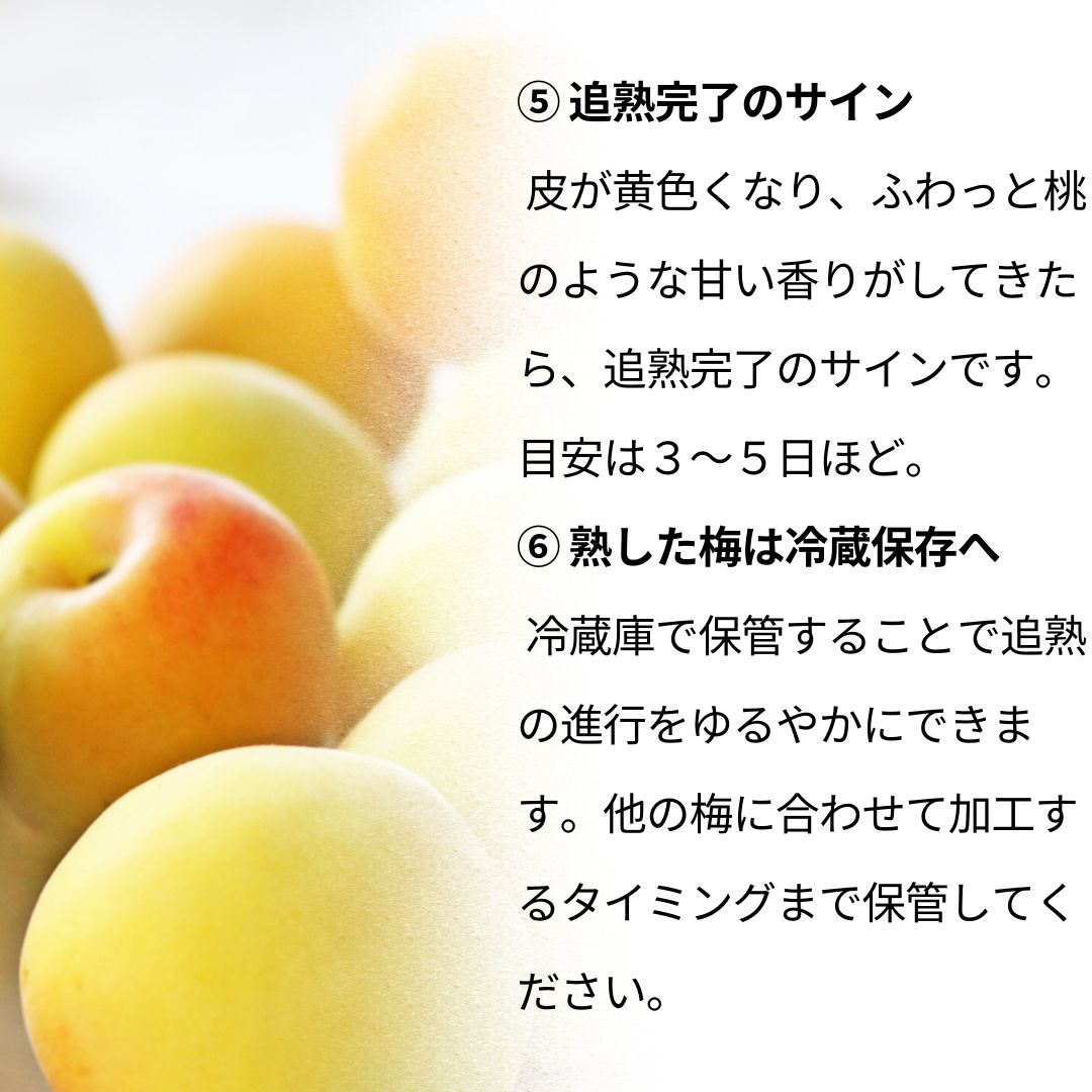 ご家庭用A品B品混合