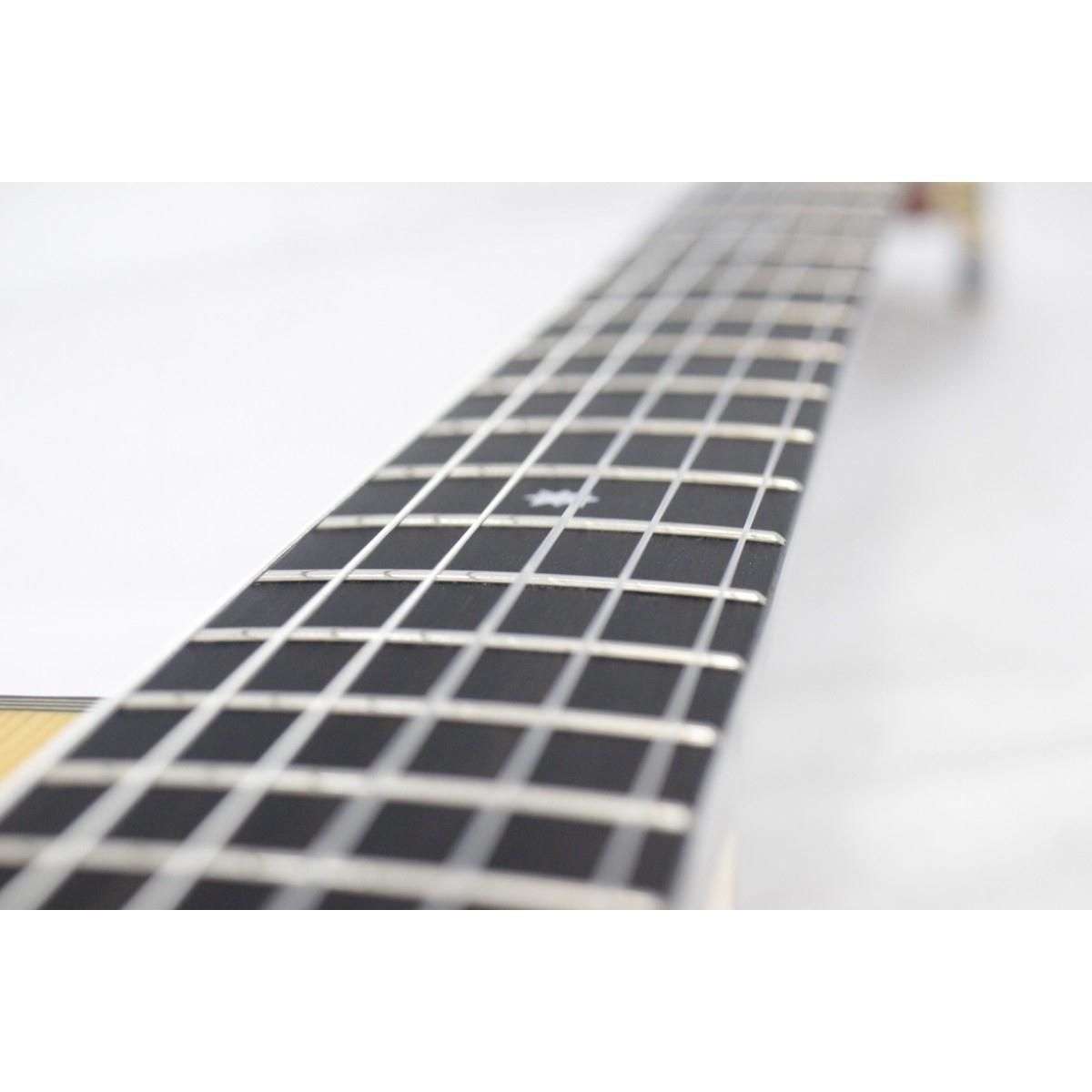 ＭＡＰＬＥ ＡＲＴＩＳＴ