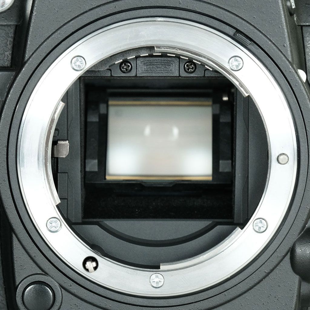 亮一さま専用 NIKON D7000 ショット数3988枚 良品｜シャッター数13,589回｜バッテリー2個] Nikon D7000