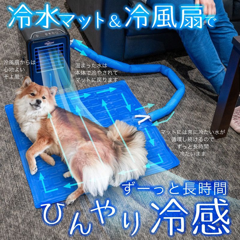 真夏