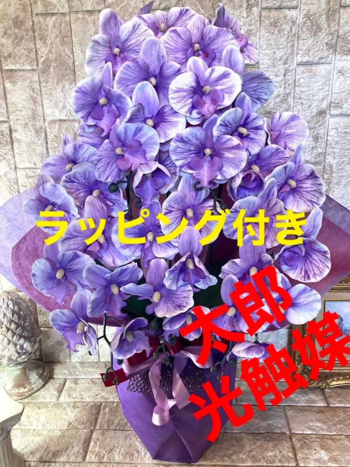 光触媒 人工観葉植物 ウォールグリーン フェイク フラワー 胡蝶蘭pu５本