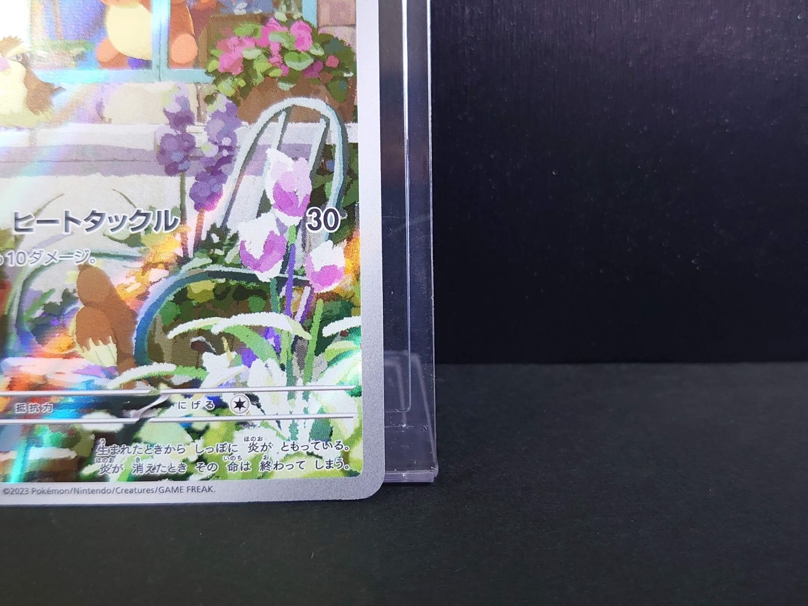 PSA10 ヒトカゲ SVG 051/049 スペシャルデッキセットex PSA10】 ヒトカゲ 《AR仕様》 {051/049} [SVG/スペシャルデッキ