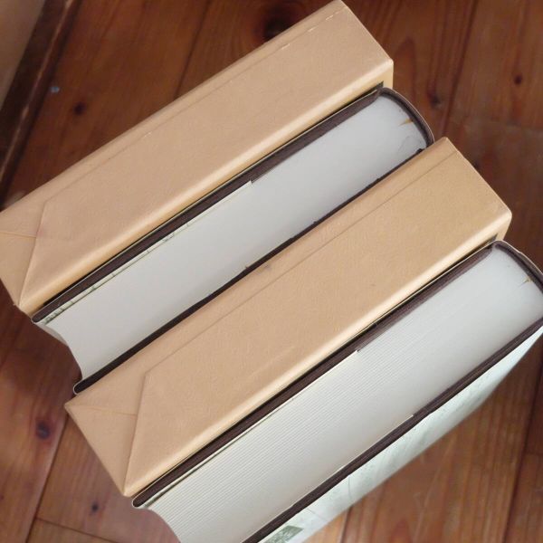 中国古典棋書 特製化粧桐箱付「適情録」原本復刻全20巻 解説書上下2冊