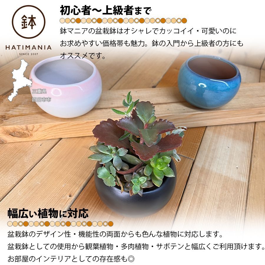HATIMANIA 鉢マニア 丸 3.5号 盆栽鉢 水が抜けやすい 小さい 小