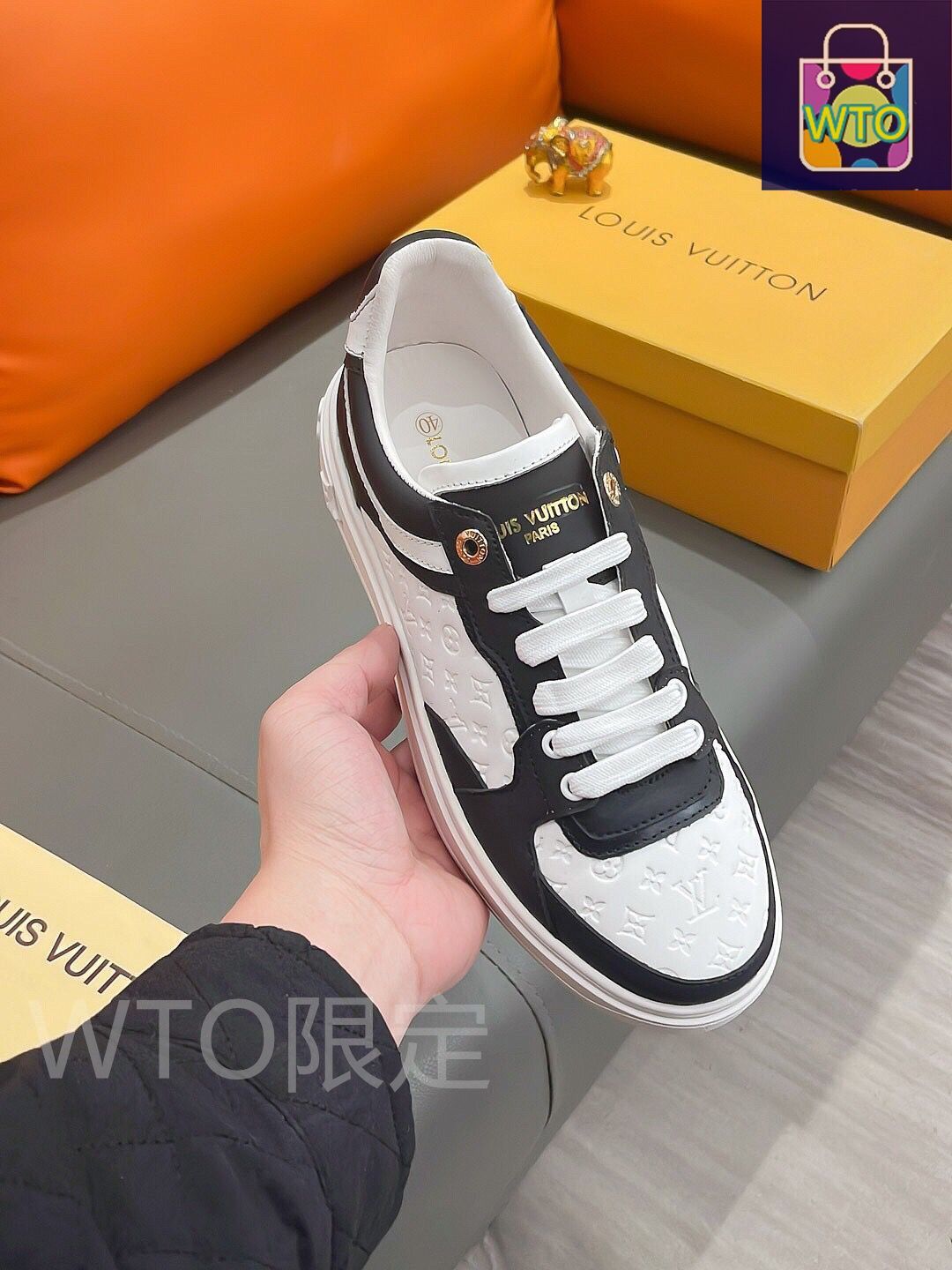 Louis Vuitton ロートップカジュアル紳士靴｜本日限定WTO｜新品
