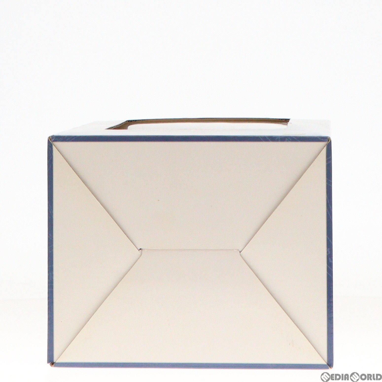 カイハーンバスタードオーキッドシード