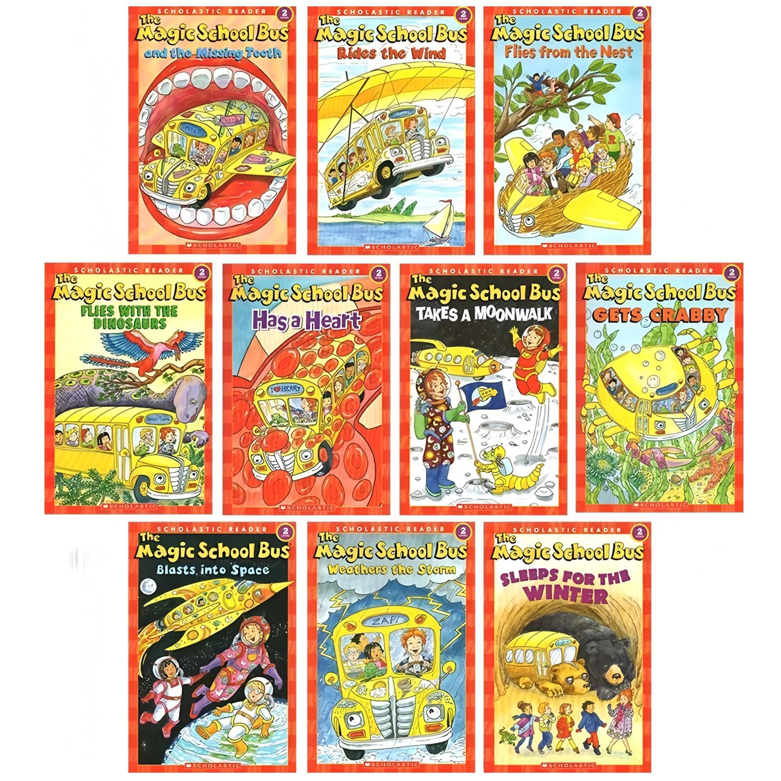 The Magic School Bus 12冊セット　英語絵本　洋書　英語勉強 The Magic School Bus 洋書 子供絵本 英語勉強 英語入門 英語