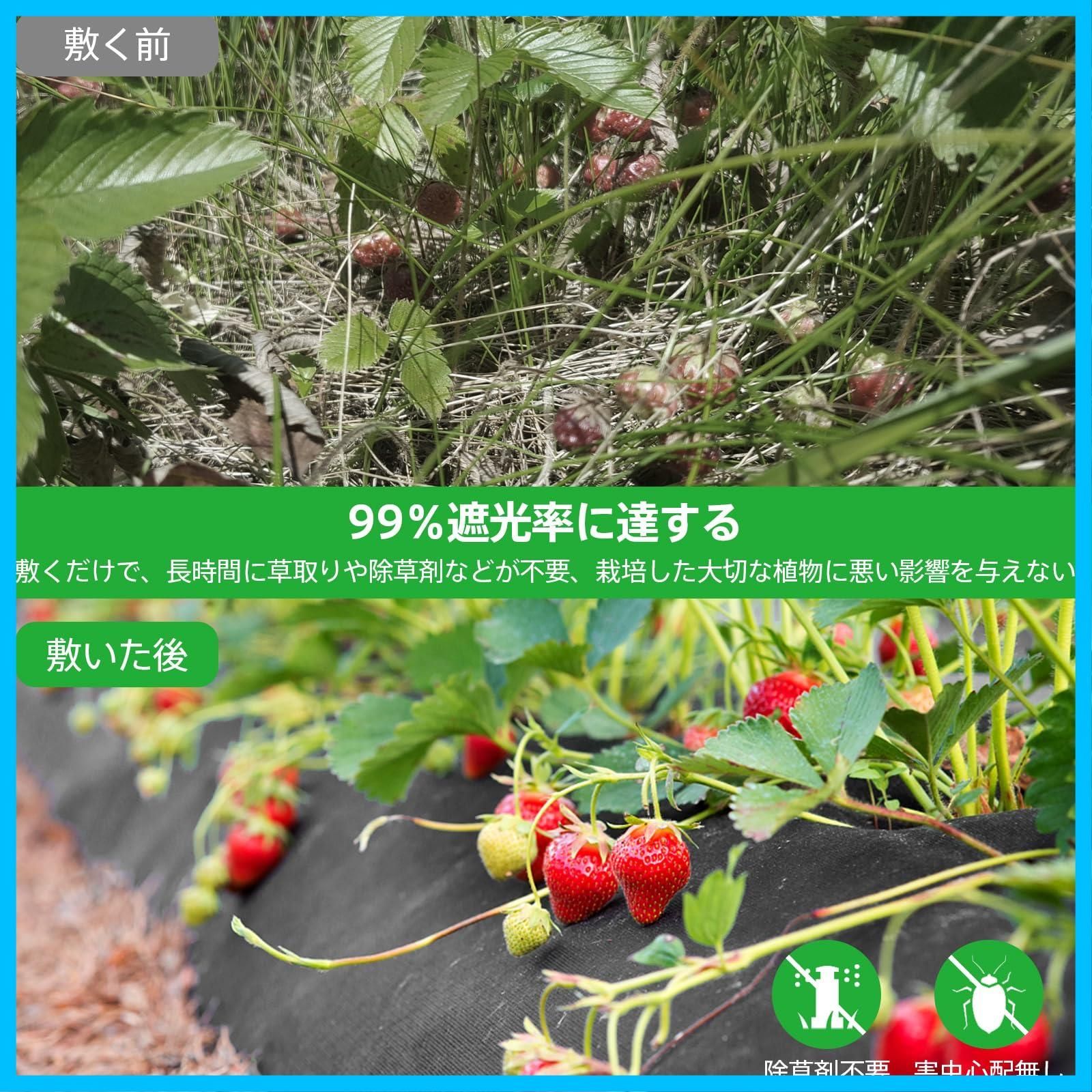 即日対応防草シート 1m×50m 高密度130G 厚手 除草シート - 不織布 雑草