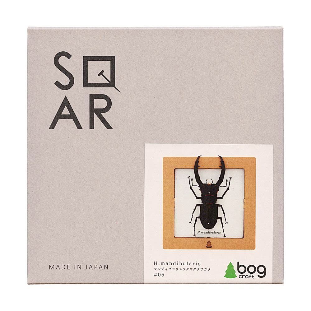 初版 タｰトルズの秘密 ラッセルサンズ 初版 タｰトルズの秘密 ラッセル